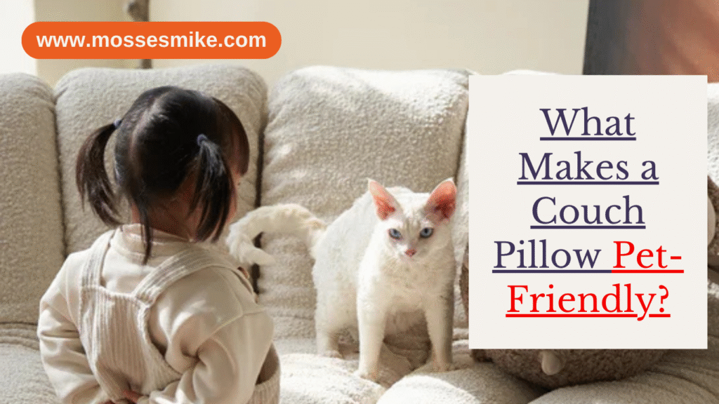 What Makes a Couch Pillow Pet-Friendly?