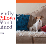 Couch Pillows