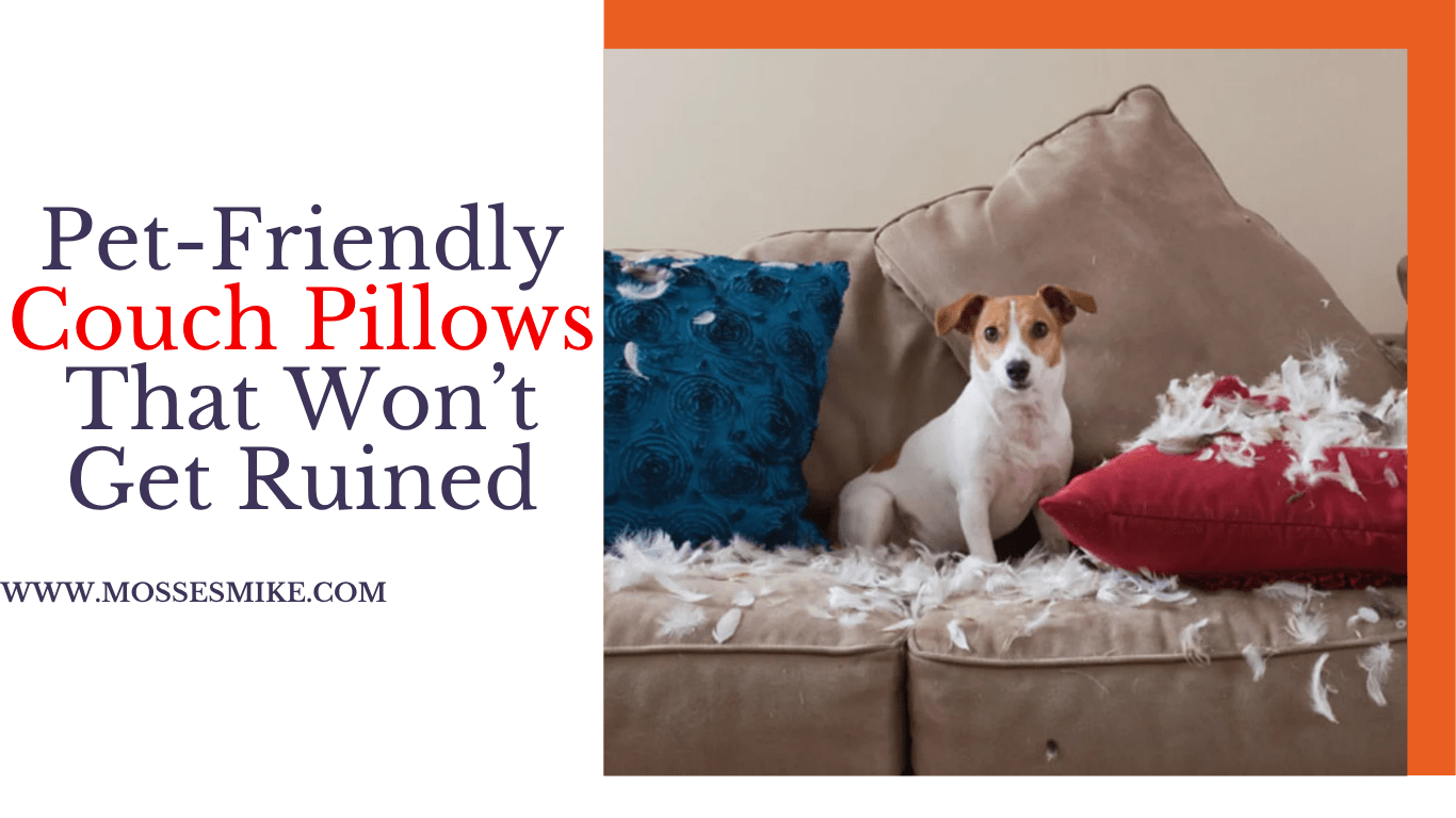 Couch Pillows